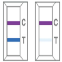 CareStart Covid-19 Antigen test Kit