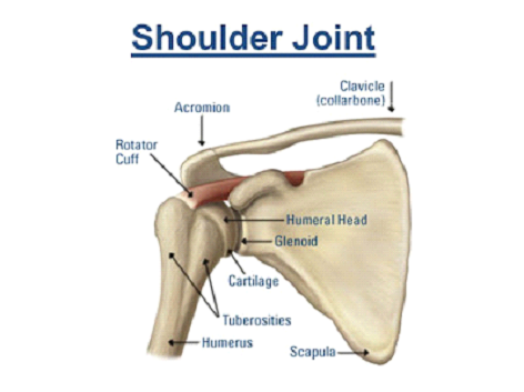 shoulder tear recovery