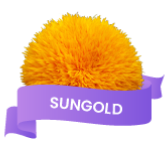 Loyalty Tier - Sungold